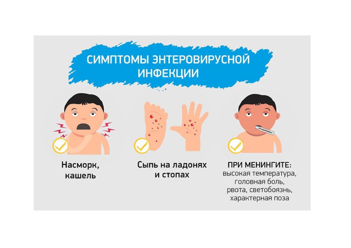 Профилактика энтеровирусной инфекции Профилактика энтеровирусной инфекции.